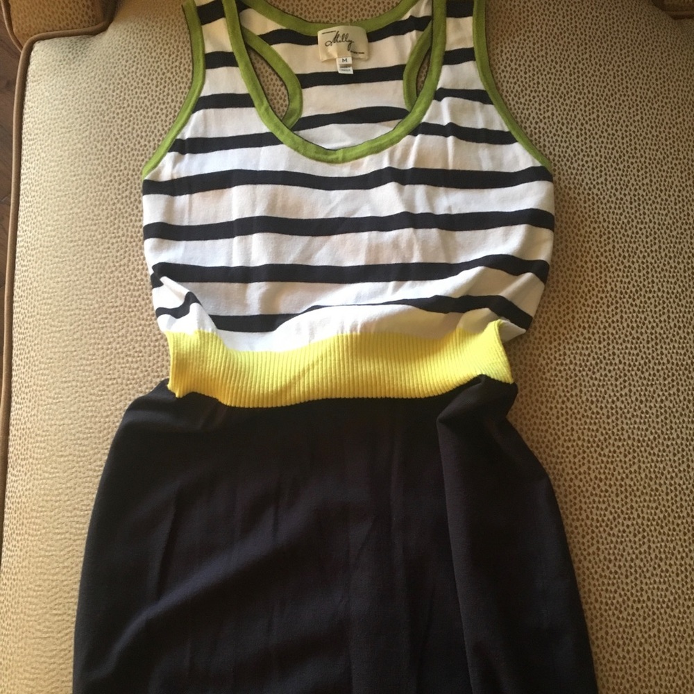 Milly Knit Tank Dress